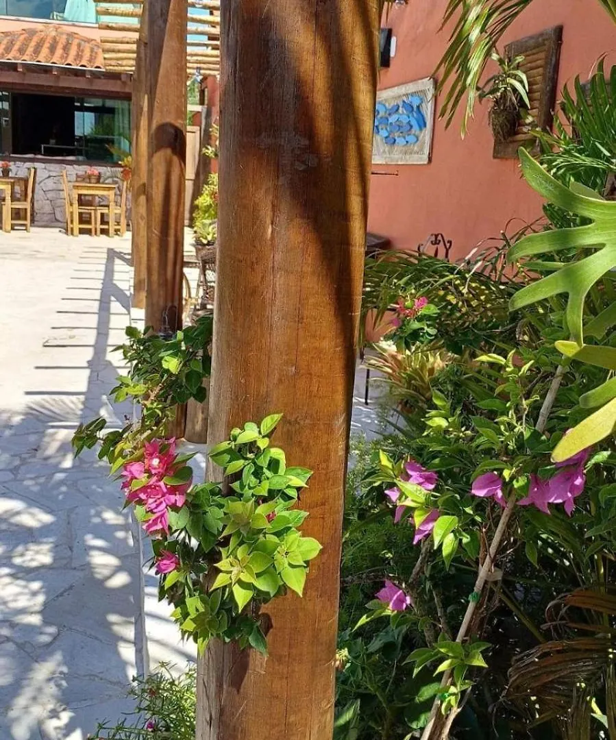 Bed & Breakfast Guest House Orquidea Armacao dos Buzios